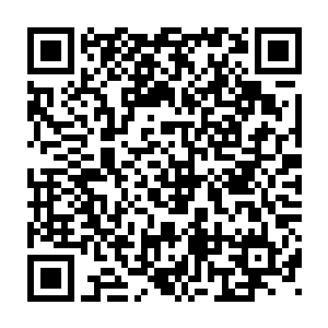 许紫烟边将自己建立修炼的圣地的计划再次和许撼天父子说了一遍二维码生成