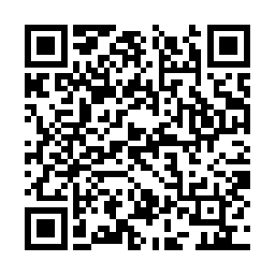 设置的禁制在被破坏之后会在一两天之内自动修复二维码生成