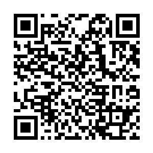 设计师蓝宇和时尚达人路路都是给出了10分的照顾分二维码生成