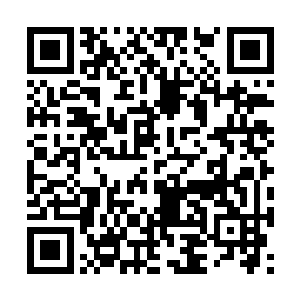 证明你和楚楚小姐之间确实没有什么勾结行为的话二维码生成