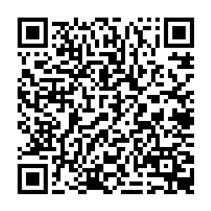 评判台上的诸位修士没什么动静――今天可有不少操作失误把器胚炸掉的蠢货二维码生成