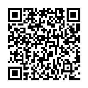 试图揭开六道轮回之主秘密的一幕亦在他的眼前浮现二维码生成