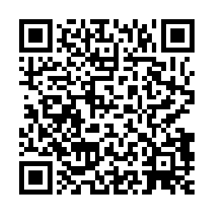 试探着将手指压在温斯顿那几乎和下巴连接在一起的脖颈动脉上二维码生成