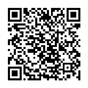 试播集应该会在11月制作完成……可以安排在1月播出二维码生成