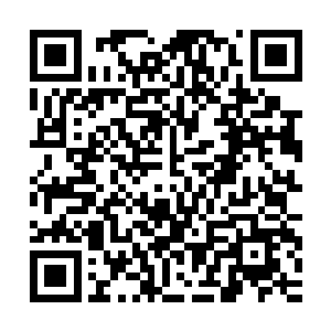 试炼哪里会没有危险的……不过要是谁敢真的动我家小姐的念头二维码生成