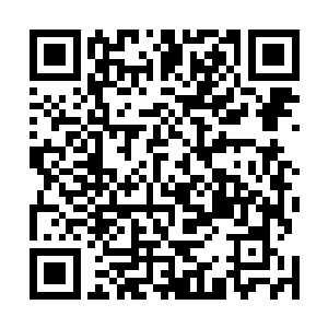 试炼队伍的侧重基本上全都放到了寻找顶尖的疗伤圣药上二维码生成