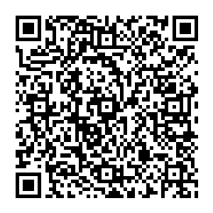 试着小心的吸收了一颗火属性的低级晶核…这样的量即便会对原能量产生副作用也是在她能承受的范围二维码生成