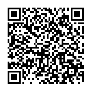 诚如你刚才所说的……林烽说不定真的能发现那些潜藏在暗处的龙组成员二维码生成