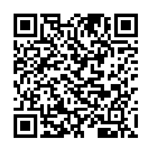 详细地阐释了这个收视数据所代表的意义和历史地位二维码生成