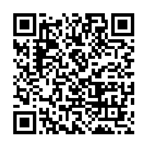 语气温柔诚意十足可以殷勤已经献到了极致表现也很风度二维码生成