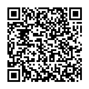 诱骗无辜者和无知者打着各种威风凛凛的旗帜互相厮杀厮杀的烈度和死亡的人数二维码生成