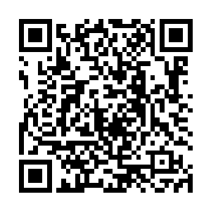 说不定一名仙医将所有的时间和精力都用在了修炼上面二维码生成