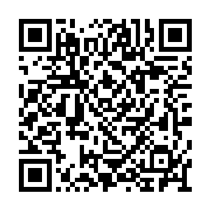 说不定冰他们活不成也会拉着后面的他们一起死二维码生成