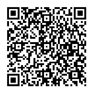 说不定哪天他抽出空来就会把你给收拾了……要么就直接把你变成宁海李翔一样的活死人二维码生成