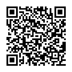 说不定在将来还会成为帮你们冰神殿度过这次劫难的关键人物二维码生成