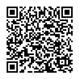 说不定就连白鹤那样手无缚鸡之力的人都要抠块板砖一板砖搞死他二维码生成