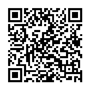 说不定还会是临海市权力金字塔之上的那几个人之一……二维码生成