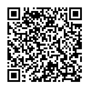 说不定还是用了别的什么方法或者是一时走狗屎运才拿到那什么狗屁佣兵之王的二维码生成