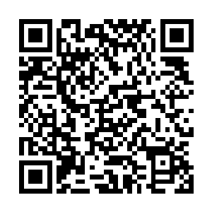 说什么也要等到弄到这种神木才会凝炼这件木属性本命法宝二维码生成