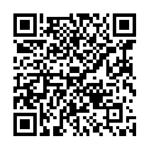 说他现在是丧家之犬急着收拾物件离开让我们自行离去就是二维码生成