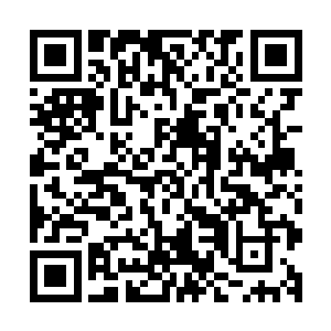 说任何人类都会拜倒在蛇神的神力下……让我们不用白费力气二维码生成