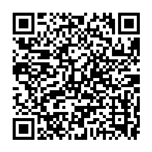 说到无量天苗毅的两位侍女尽管早年认识如今却是连仰慕的份都没有二维码生成