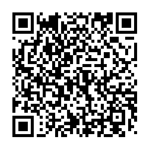 说句实话……我也记不清谁是谁……所以我用发型和绰号区分了他们二维码生成