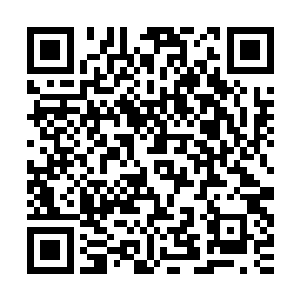 说它和你在一起的这段日子是它修行上百年中最快乐的一段时光二维码生成