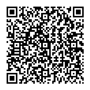 说完 抬手一挥 虚空顿时裂开 似乎在刻意的震慑众人 他无比罕见的透露了一点自己的实力二维码生成