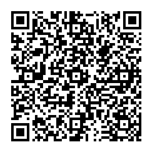 说完 目光又划向其他几人 但见他们脸色苍白 早就沒了血色 似乎之前的置之死地而后生的表情只是昙花一现二维码生成