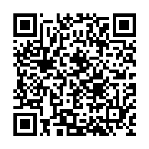 说完不理会西门吹箫怨毒的眼神直接对着他的灵魂用起了搜魂术二维码生成