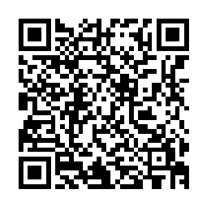 说完从消毒箱里拿出早已经清过毒的筷子慢条细理地吃了起来二维码生成