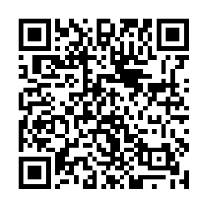 说完便把名单摆在茶几上给几人看赵大壮的各人信息二维码生成