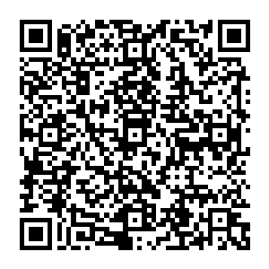 说完此话黑蟒寨主又是哈哈大笑那其中的讽刺与嘲笑还有轻蔑与不屑可谓毫无保留的表现了出來二维码生成