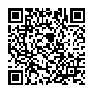 说小不小可以容一人通过的狗洞出现在了他们的面前二维码生成