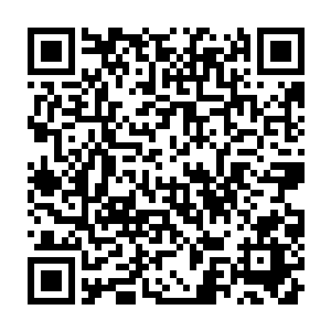 说明我们宋州的投资环境得到了以苛刻著称的德日两国企业的青睐二维码生成