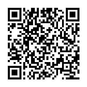 说是后加入进宗门的修士在宗门内会得到一视同仁的待遇二维码生成