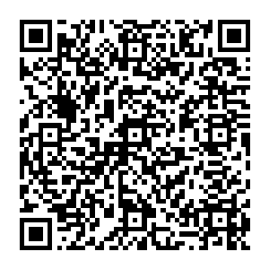 说是树屋其实只是用木属性法决促使树木交缠生长成一个大约可以容纳人盘坐修炼的小小地方二维码生成