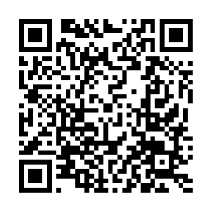 说是池墨卿先生已经把所有股份都给了这位言小姐……哦二维码生成