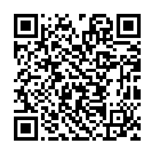 说是要等到找到另一个同伴确认消息无误才能放他离开二维码生成