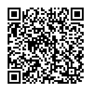 说牟秀已经通知了整个药房销售体系的各地分公司总经理开电视电话会议二维码生成