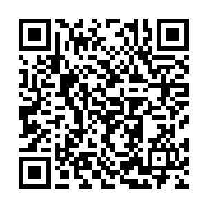 说白修是用了不要脸的手段才从自己手里抢走凤凰二维码生成