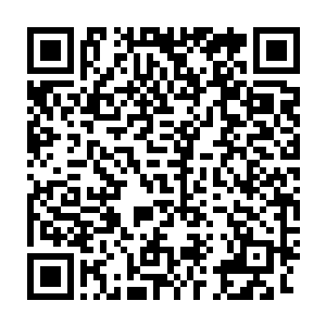 说着收回水滴玉坠摆动着手势的右手化作掌刀又劈在了钢门参的脖颈上二维码生成