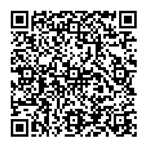 说着话　双眼一瞪　但见一抹光芒飞出　残留在这里的天道意志居然瞬间坍塌　接着回归虚无消失不见二维码生成