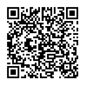 说美国和日本打算用乌龟岛跟咱们换机械侠的技术以及洪大力和洪卫国两个人二维码生成