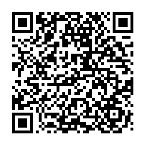 说蛇派掌门楚天成虽终是吐口说会讲出如何利用密室钥匙开启蛇派密室之法二维码生成