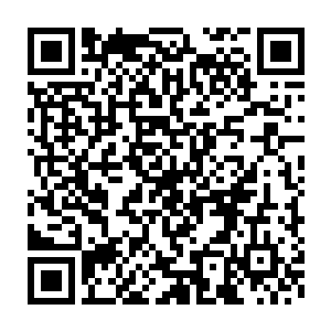 说让我把这小子给领回去――我现在把人给领回去算是怎么回事儿二维码生成