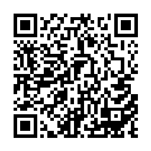 说起在塞尔内斯战区和在安普顿城外的遭遇和战斗二维码生成