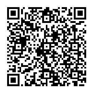 说起来……这次我对艾德和林克可是刮目相看了呢……他们竟然结合了分别来自两个维度的二维码生成