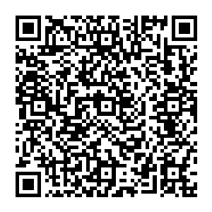 说起来他现在可恨不得直接飞到那位袁教授家里把手机系统给那位明显并不算太在乎的家伙好好研究下呢二维码生成